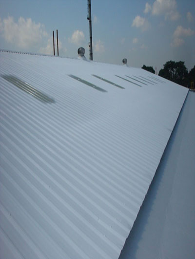 Metal Roof
